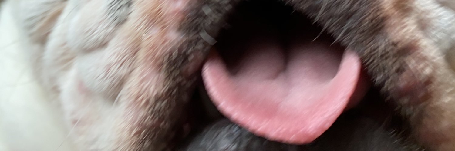 chpstick2u's profile banner image