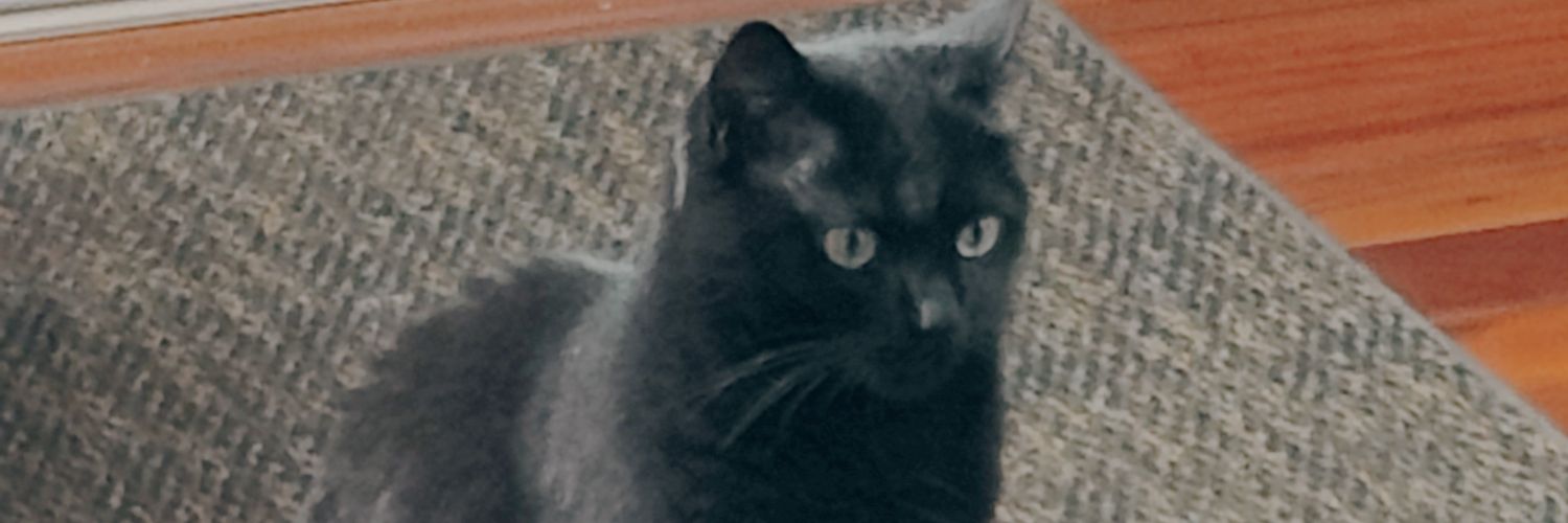 JGWaters's profile banner image