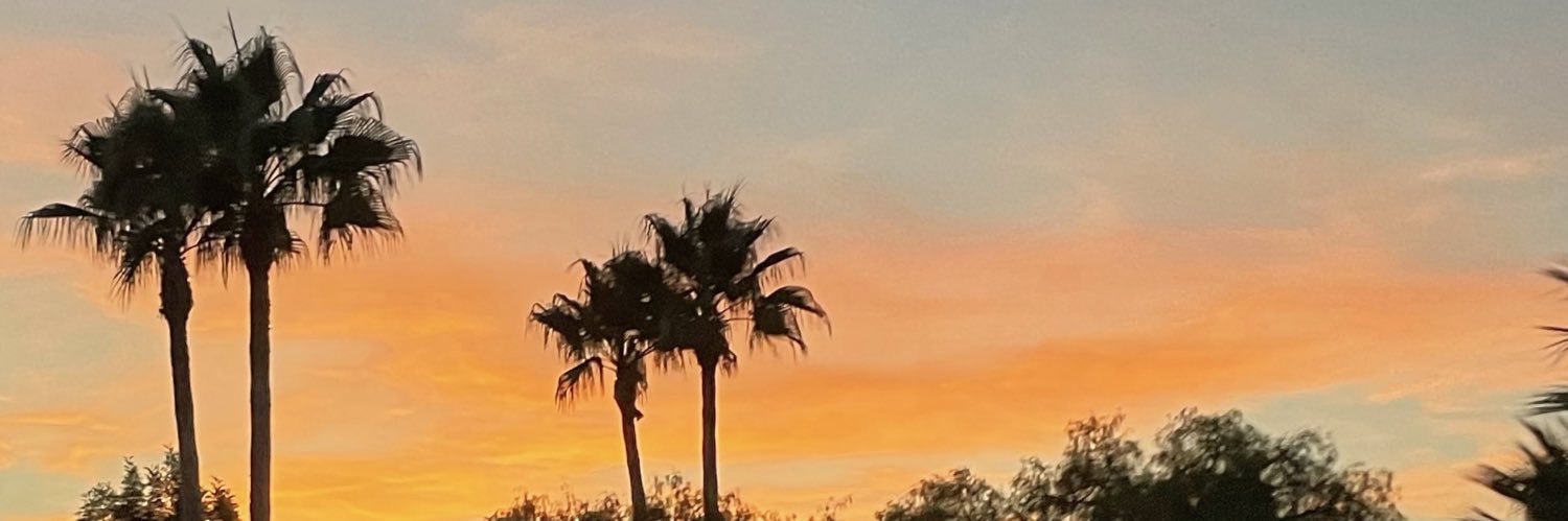 soniacastt's profile banner image