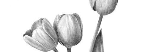 1014Luisa's profile banner image