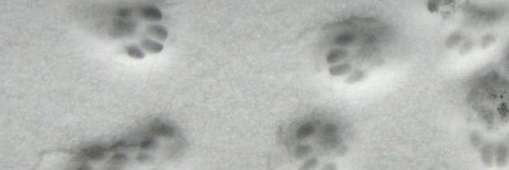 luciialvvarez's profile banner image