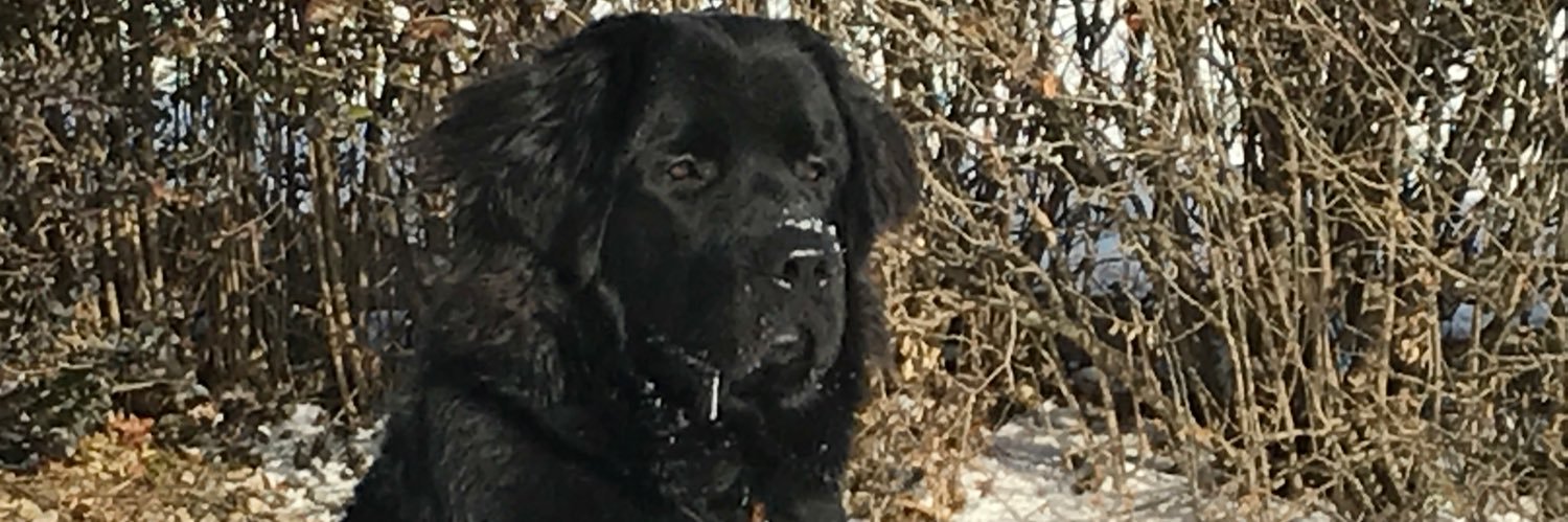 renspens's profile banner image