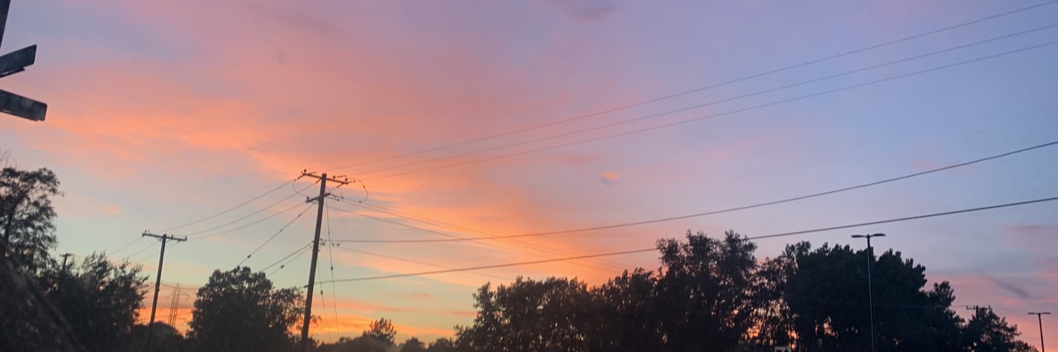 lysssfay's profile banner image