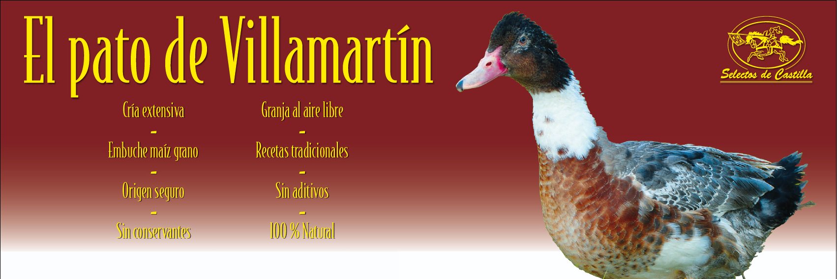 Selectos de Castilla - El Pato de Villamartín banner