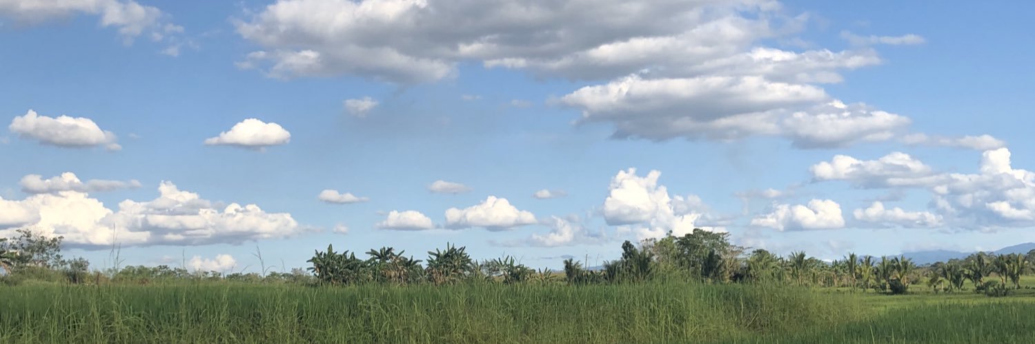 rafaelysaiah's profile banner image