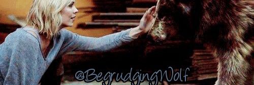BegrudgingWolf's profile banner image