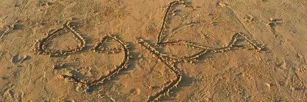 IQ_909 Profile Banner