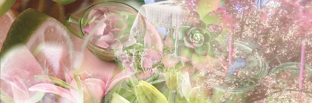 🪷 banner
