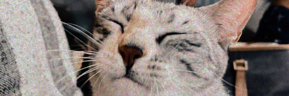 needstoshutup's profile banner image