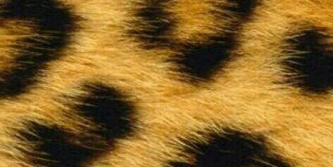 TitaniumRed's profile banner image