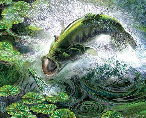 BassSlayer17's profile banner image