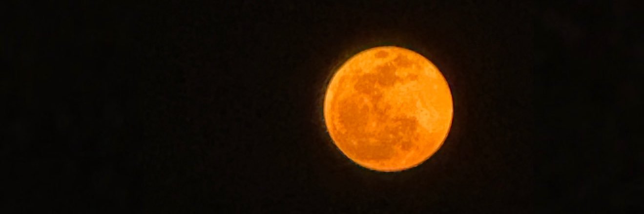 holyluli banner