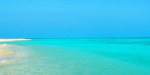 kcedwards's profile banner image