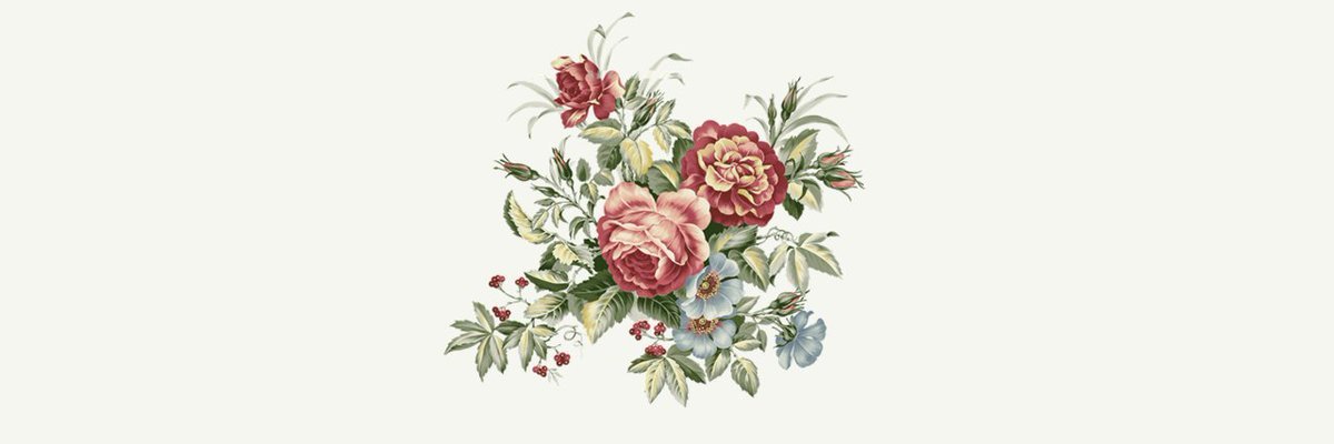 JDaSilva1288's profile banner image