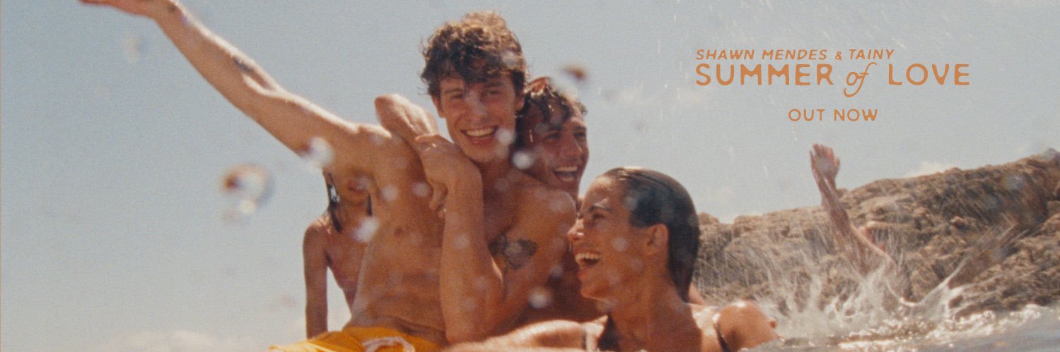 Shawn Mendes Fans banner