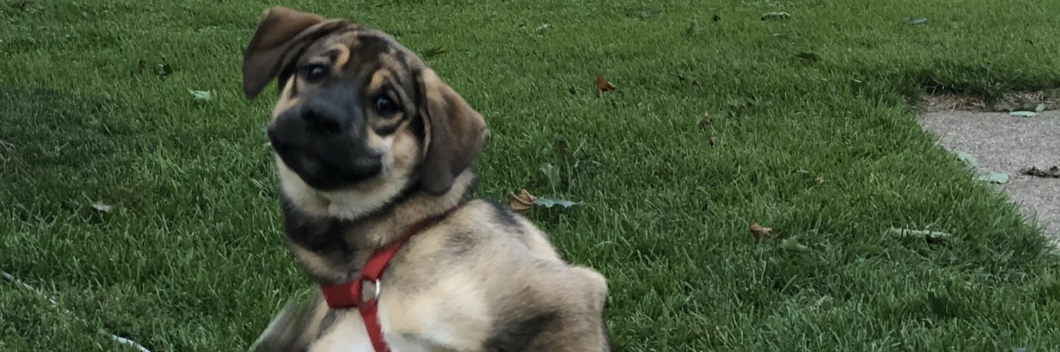 HannahRaye123's profile banner image