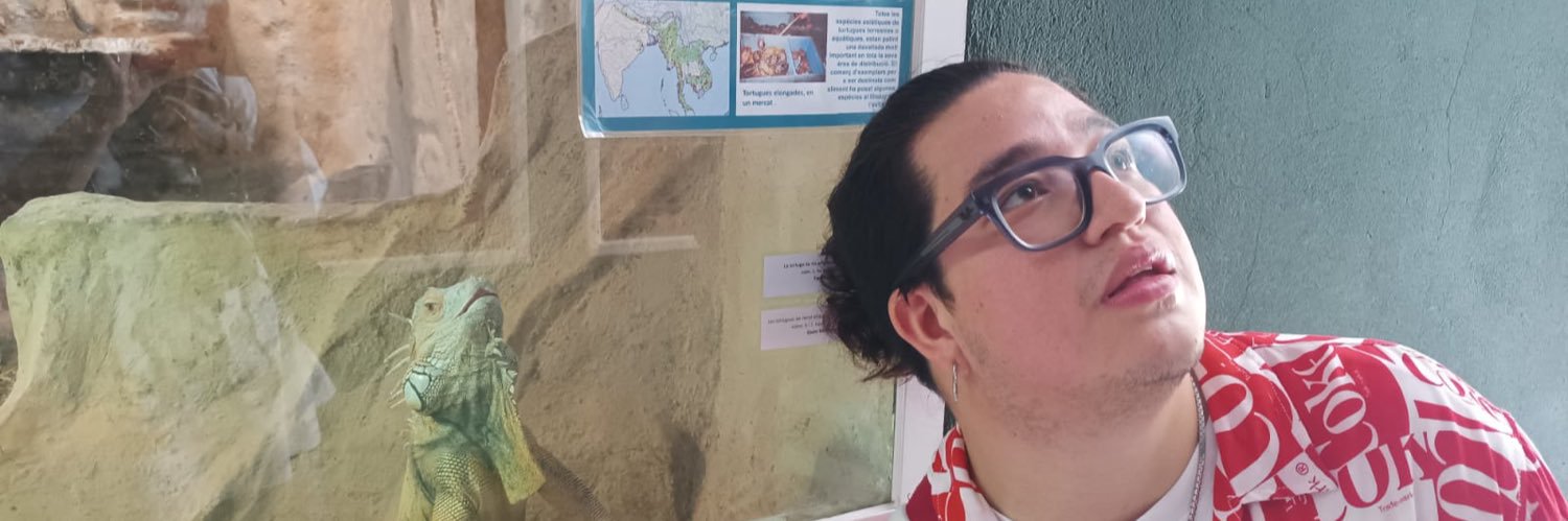 Derlisaprado's profile banner image
