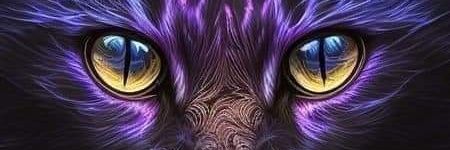 Wisabel22's profile banner image