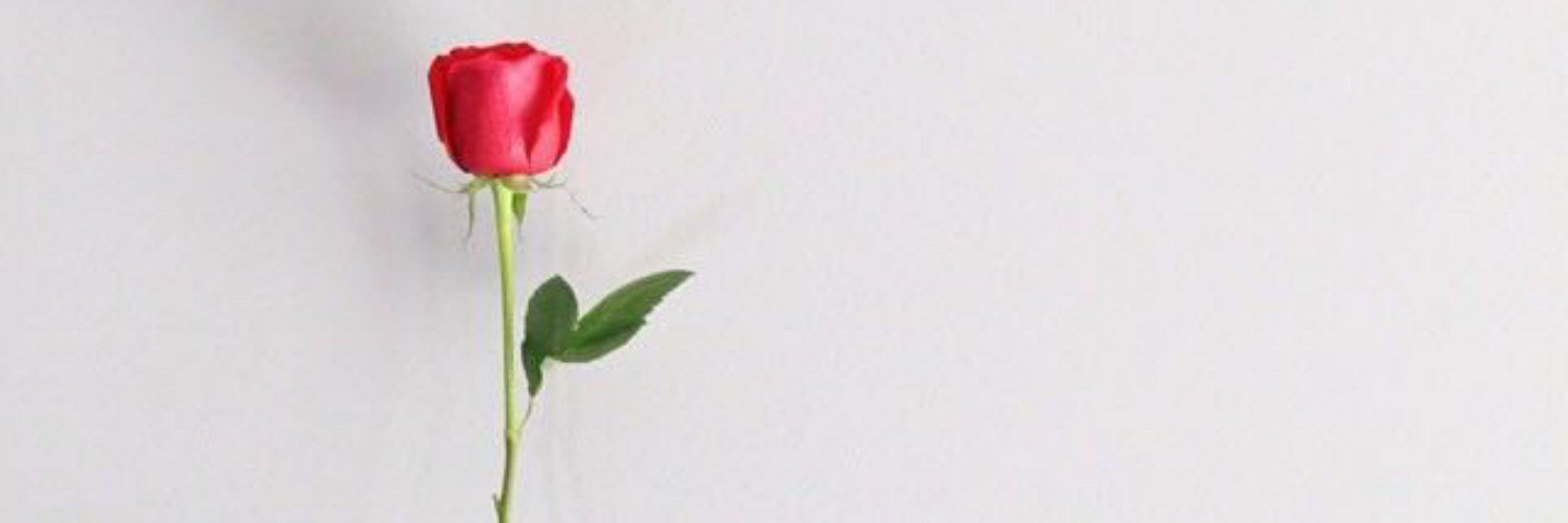 ebtesamty's profile banner image