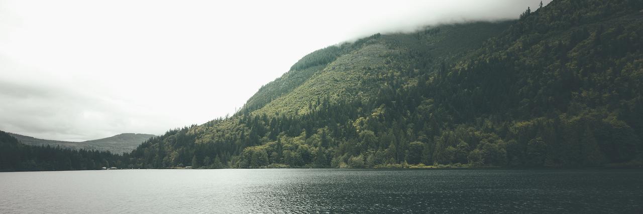 bryanlangfitt's profile banner image