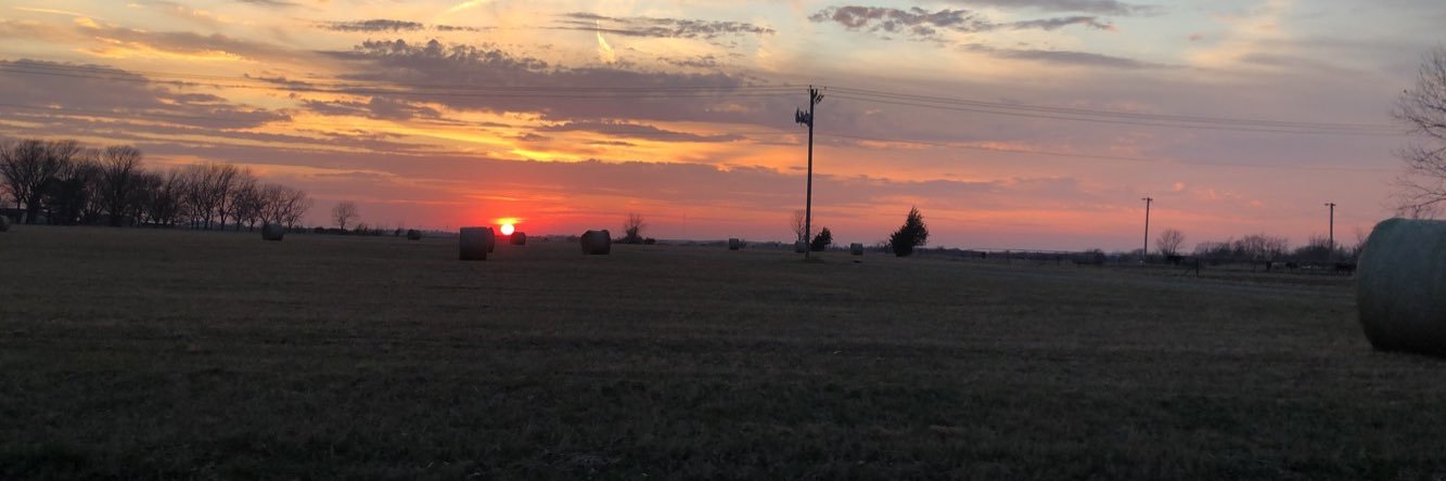 cassidyfank's profile banner image
