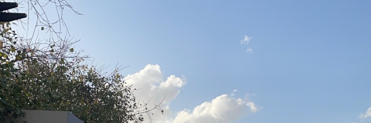 نوف ✨ banner
