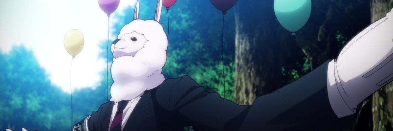 Sr Alpaca banner