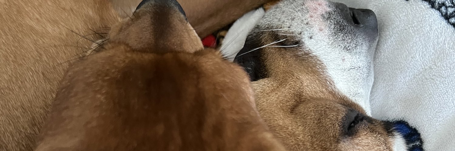 Sir_Connor_Hart's profile banner image