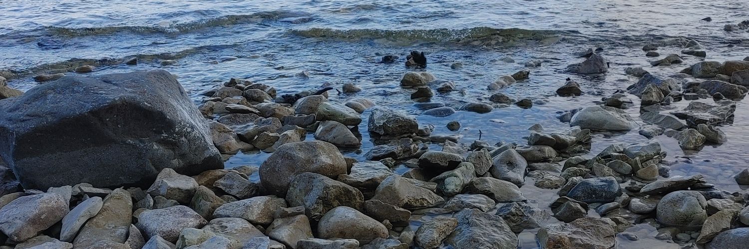 Dr. Vanessa K Hilliard banner