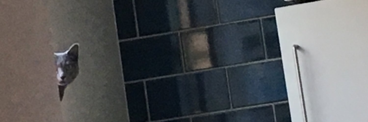 tetuneco's profile banner image