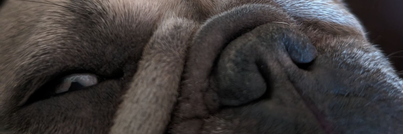 ktmjay1's profile banner image