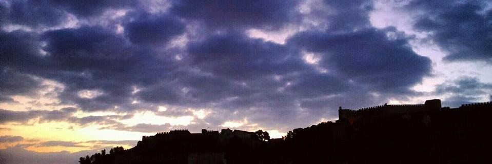 Amparo Peris Salas banner