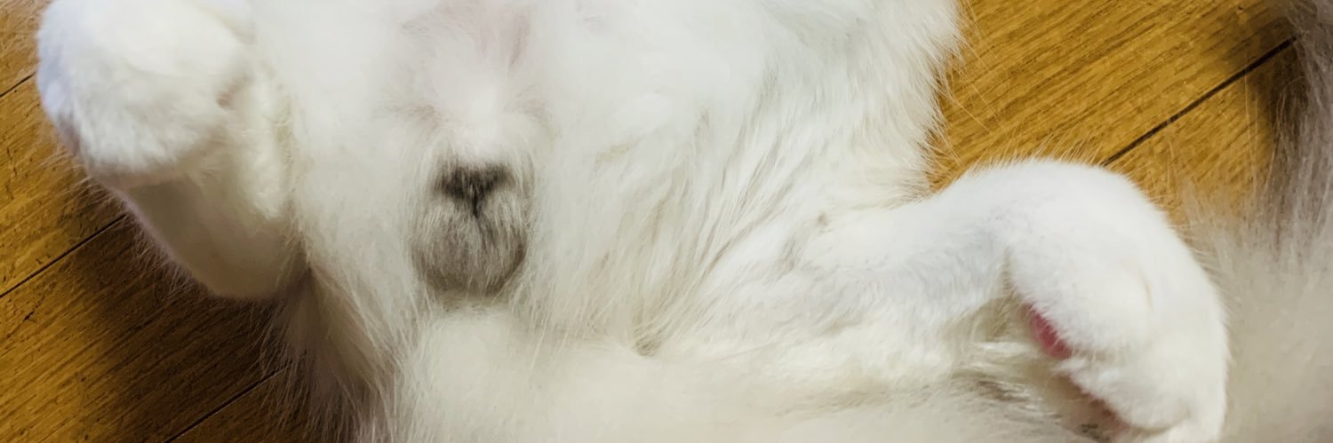 chinchinbone's profile banner image