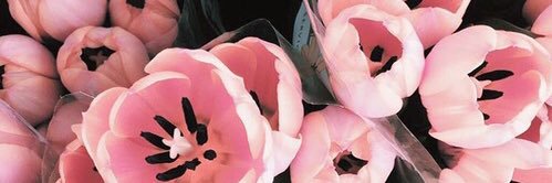 hi_d5's profile banner image