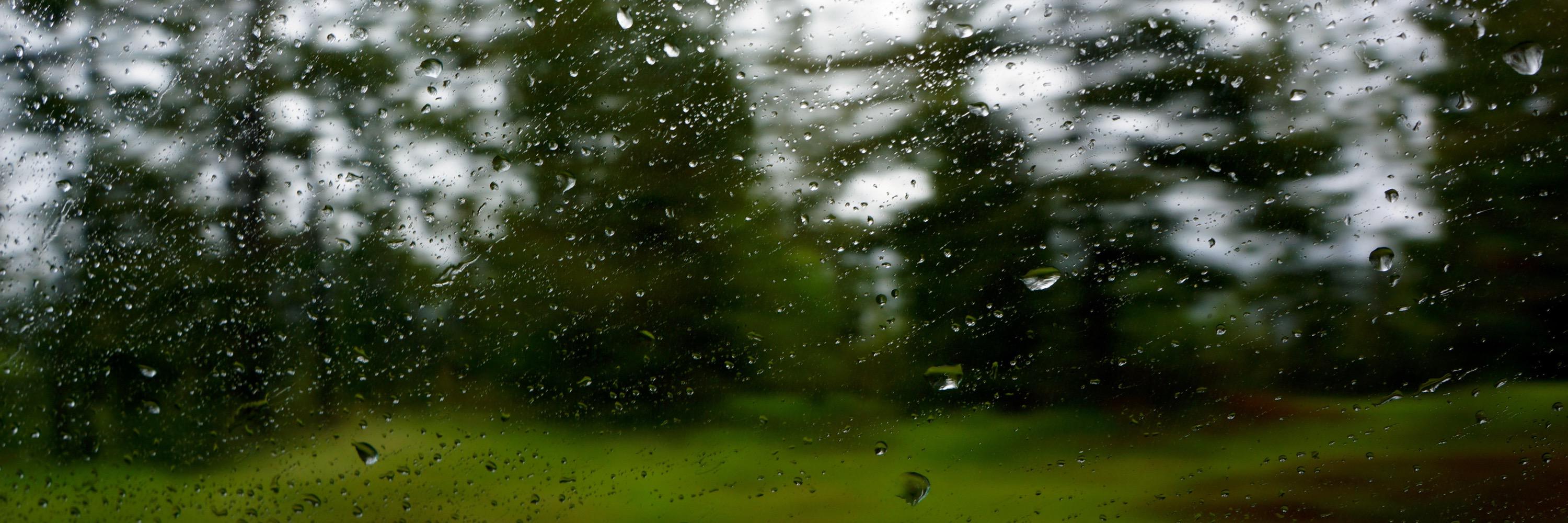 laurenn_ba330's profile banner image