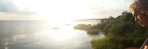 TC7280 Profile Banner