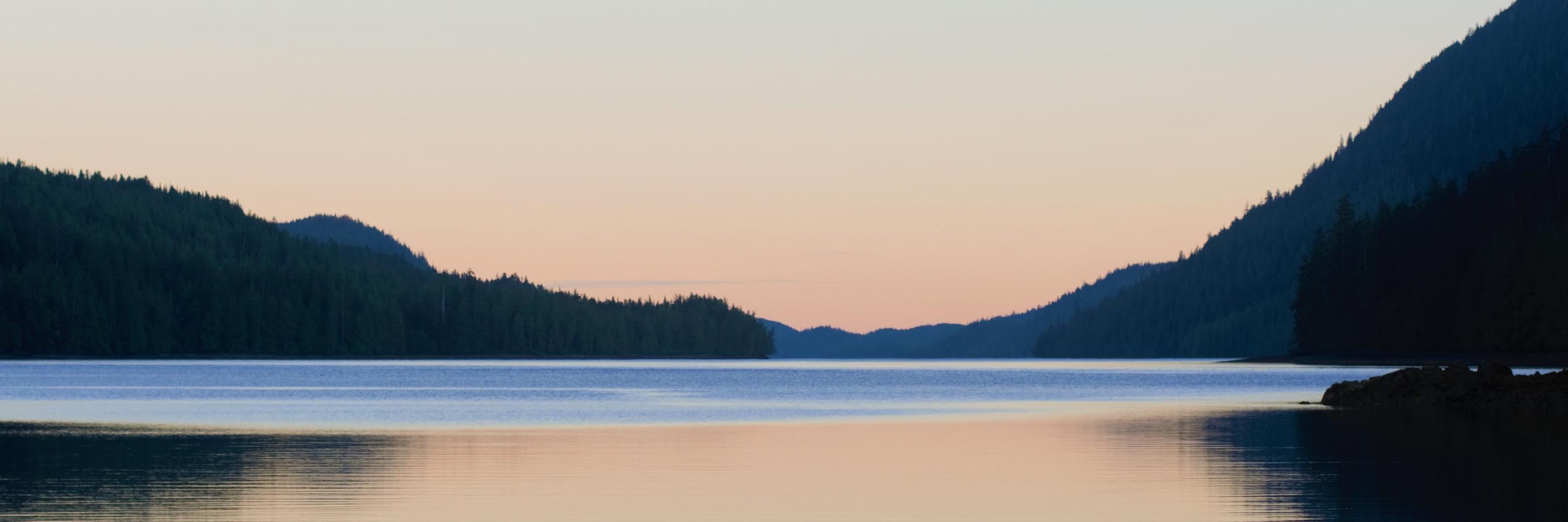 Petermikejack's profile banner image