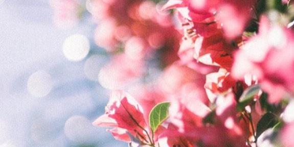 mam_dad122's profile banner image