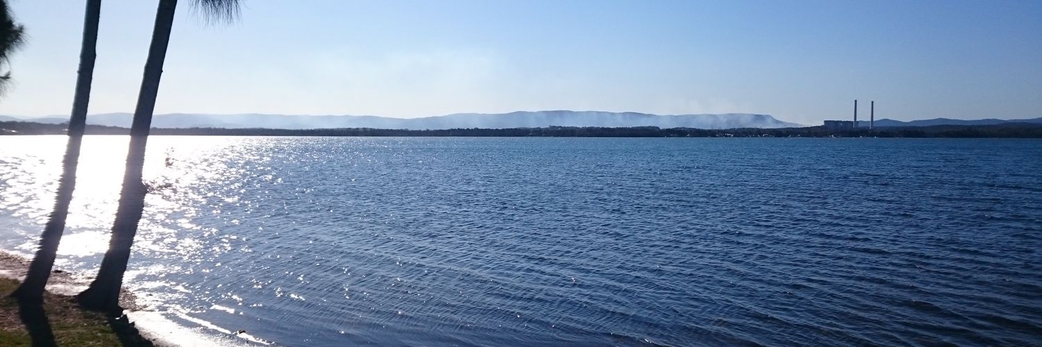 pmpliokas's profile banner image