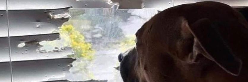 pauvwer's profile banner image