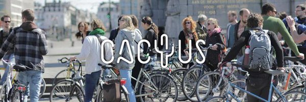 CactusCo Profile Banner