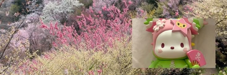 ꫂ❁ banner