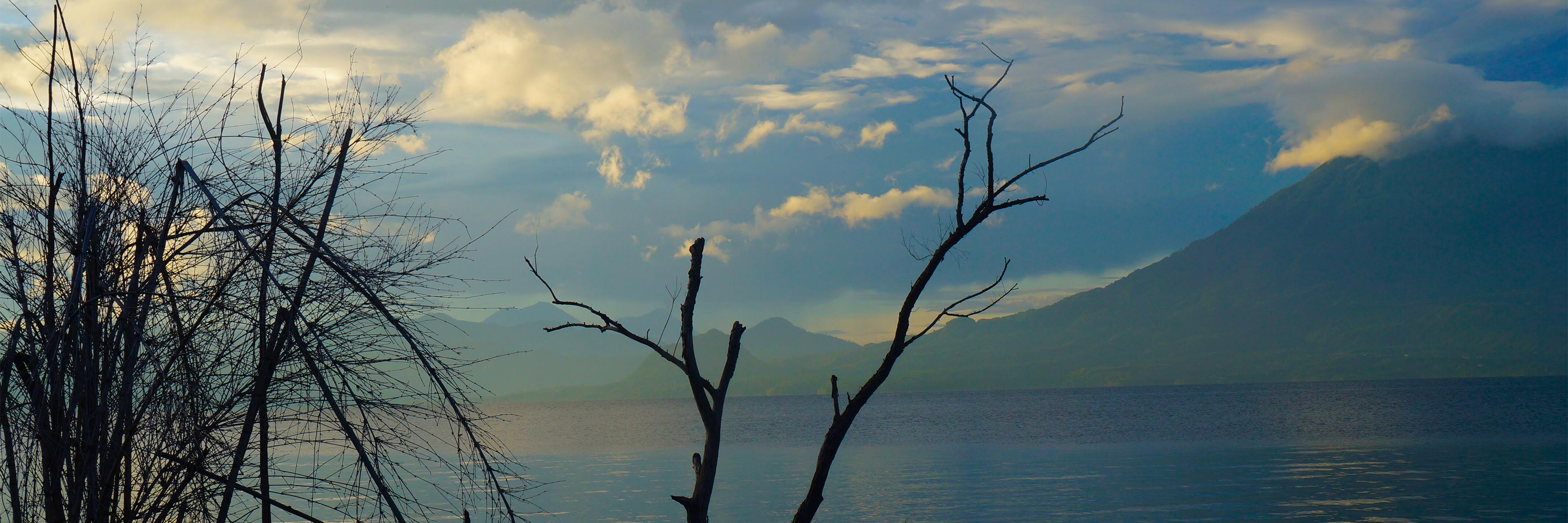lhumanoide's profile banner image