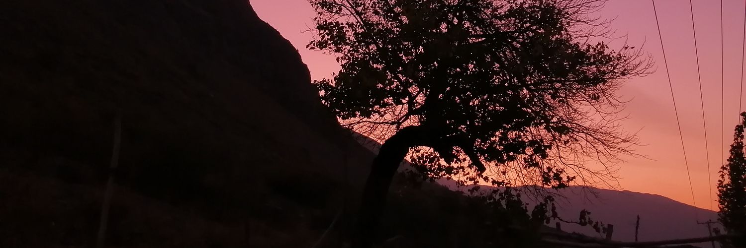 McGalletas's profile banner image