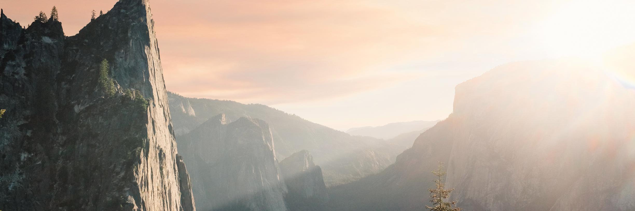 AlyshaAitken's profile banner image
