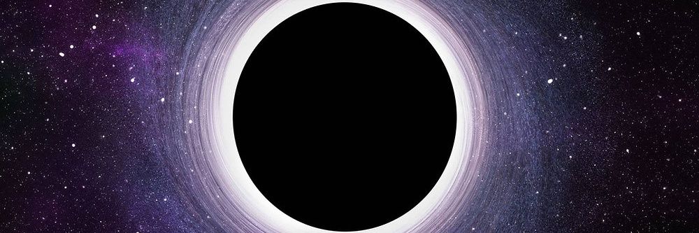 ∆zalea 🌺 banner