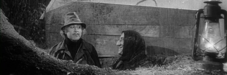 mCociani's profile banner image
