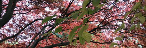 the0red0one Profile Banner