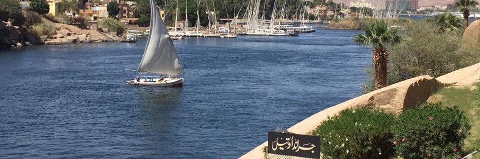 Dunaدُنى 👩🏻‍🦳✈️ banner