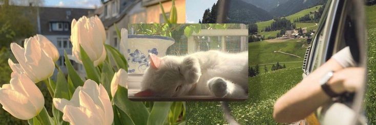 koamputer's profile banner image